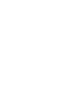 playMovie
